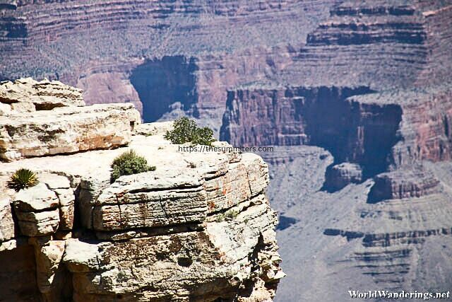 South Rim - The Big Bend National Park